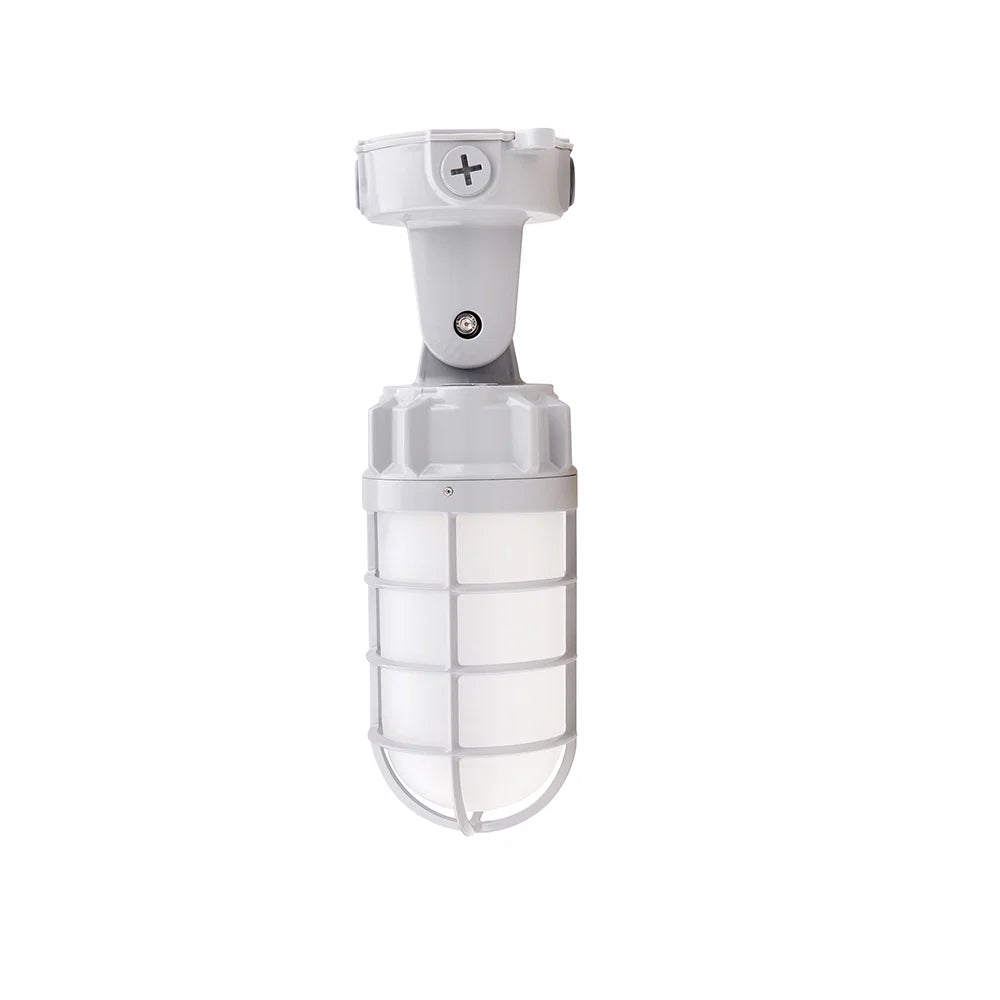 21W LED Jelly Jar Light AC 100-277V | JJ-21W-120V-50K (FREE Shipping)