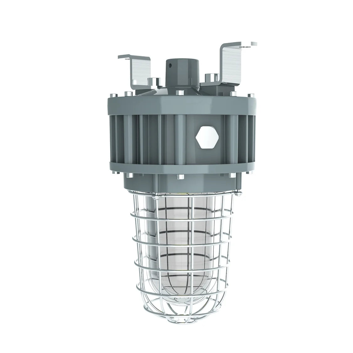 40W Explosion-Proof Jelly Jar Light-Class I Division 1–40W-5000K-AC 100–277V | LSEX-40W GD50D120C(FREE Shipping)